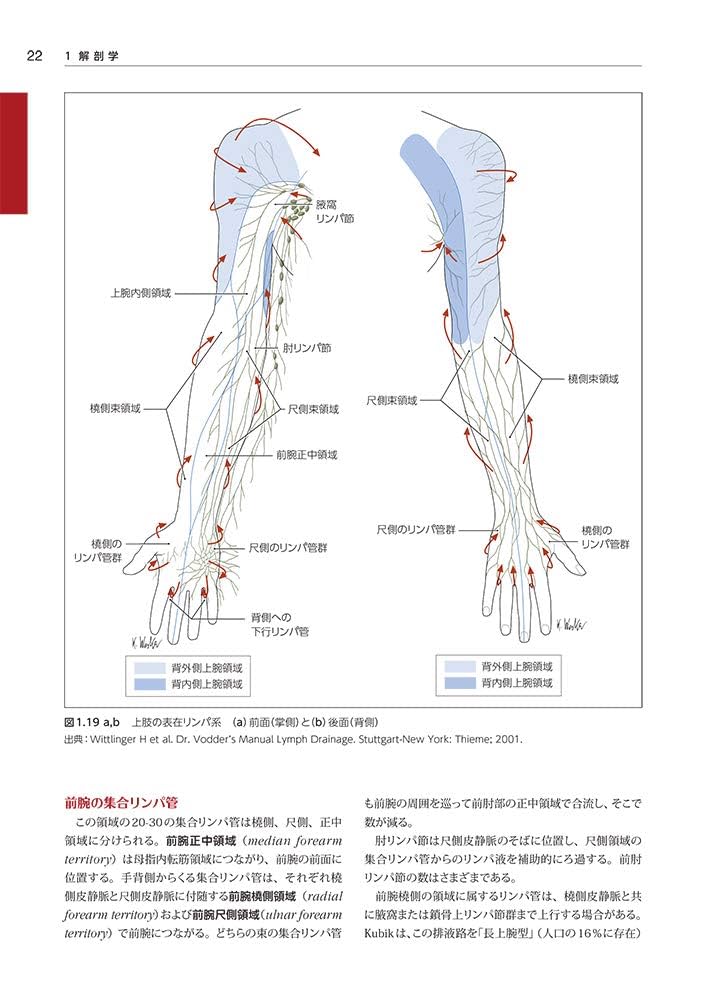 リンパ学 リンパ浮腫マネジメント ～理論・評価・治療・発症～ | ヨアヒム