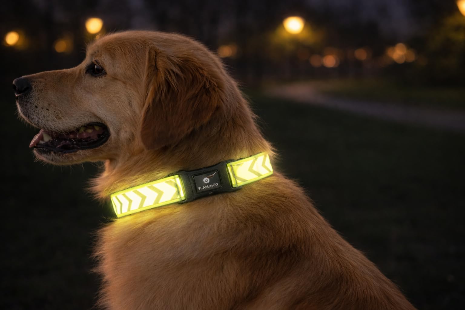Dog Collar Fergu Fluo yellow L 45-65cm 25mm