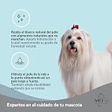 Ver la foto 2