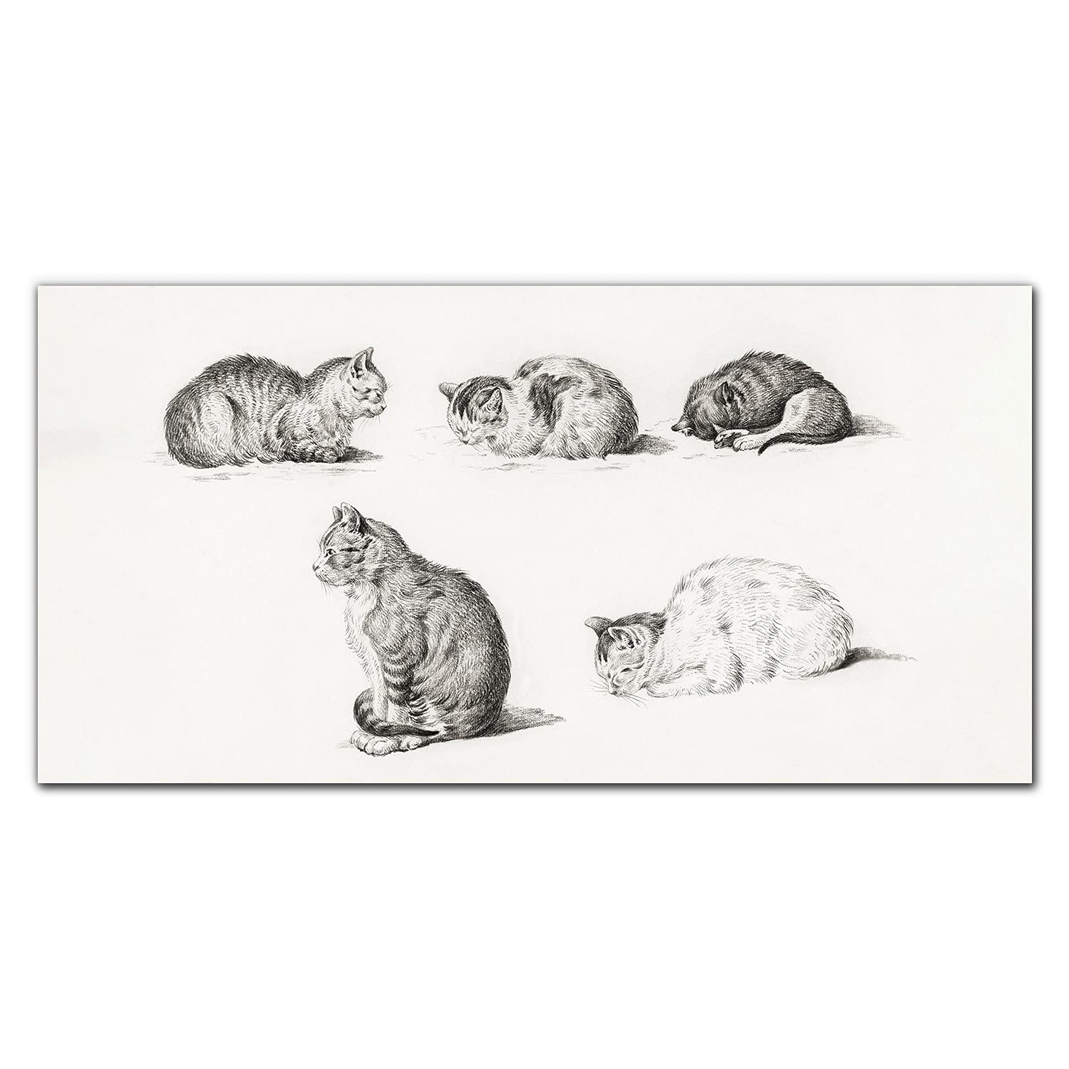 Protection dosseret en verre trempé 140x70cm avec motifs de chats mignons