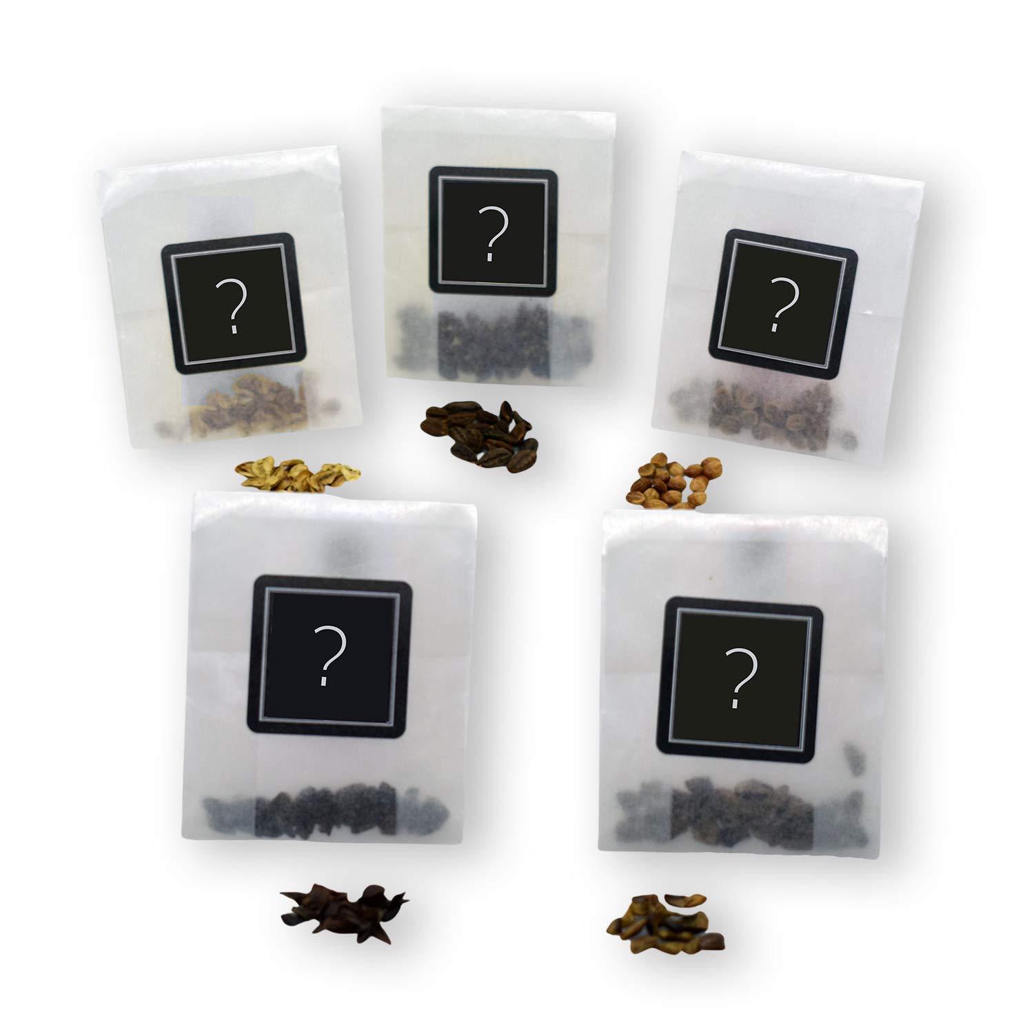 Random Bonsai Seed Collection | 5 Different Seeds | Grow Your Own Bonsai Tree | Growing Guides