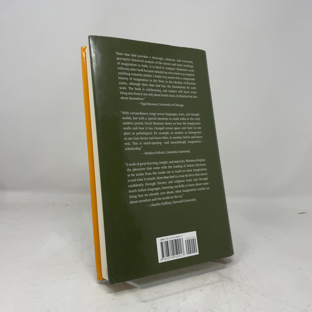 More Than Real: A History of the Imagination in South India
