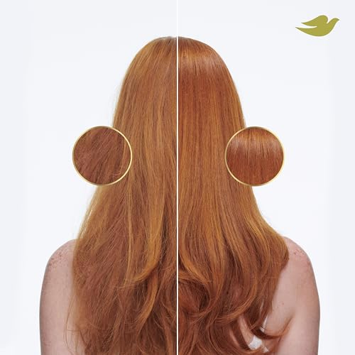 product-image-17