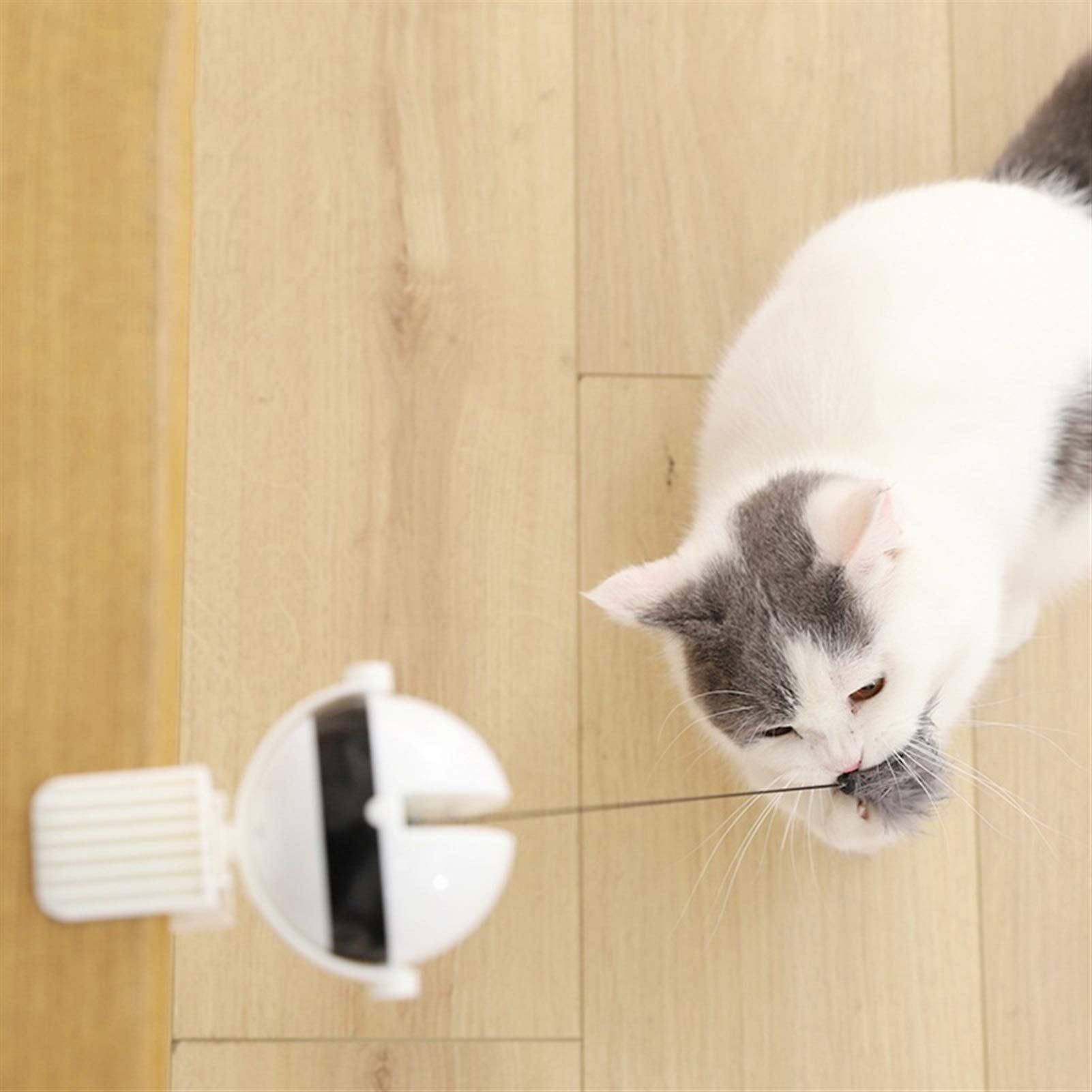 Electric Cat Toy with Remote Control, Interactive Cat Toy, Intelligent Ball for Cats with 2 Modes, Gift for Cats (Blue