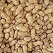 Wingfield Farm WINGFIELD-25 25 lb Virginia in Shell Animal Peanuts (25lb Bag) for Wildlife, Yellow