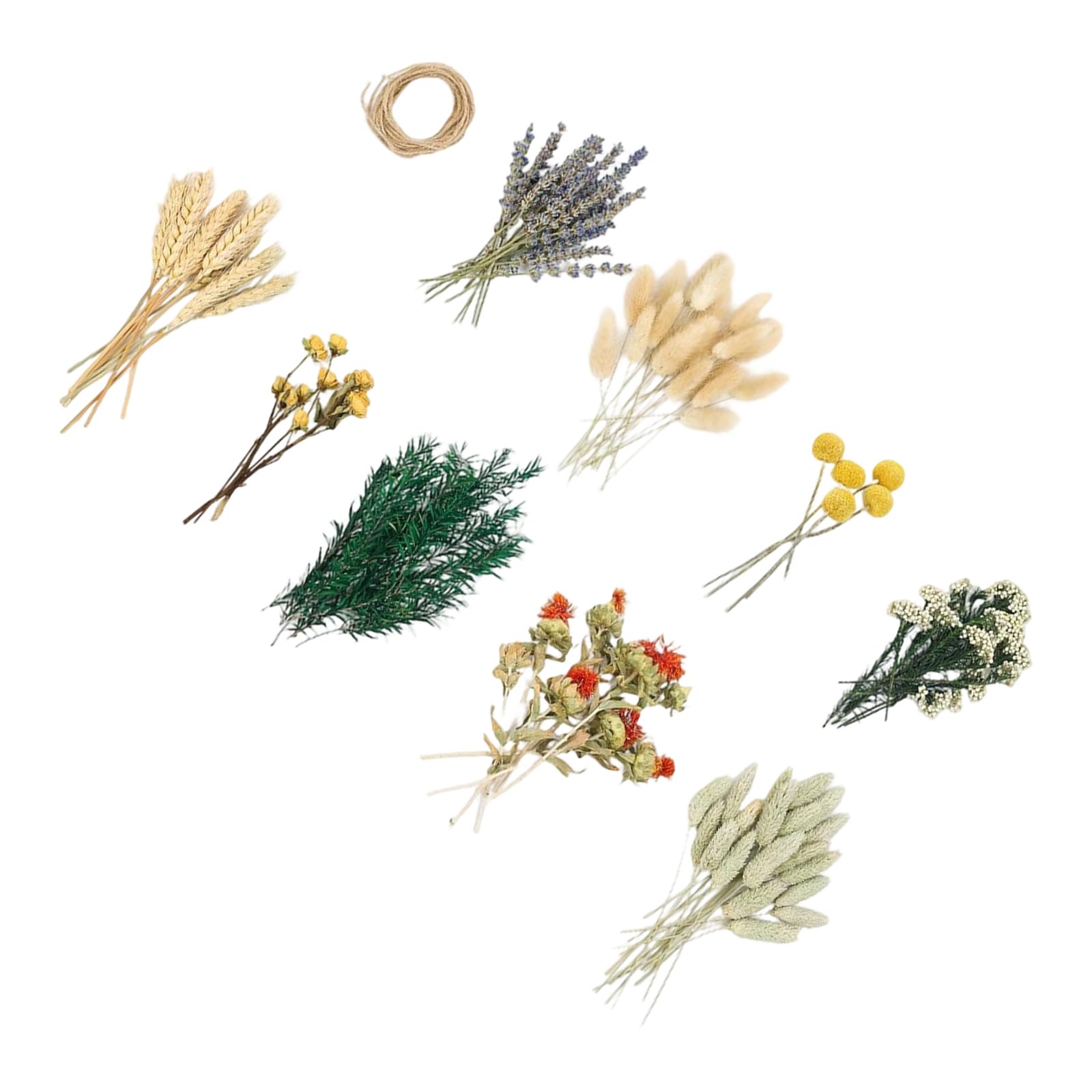 TFAOYS Dried Flower with Small Dried Flower Bouquets for Wreaths Centerpieces and Party Decorations Small Natural