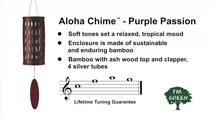 Amazon.com: Woodstock Chimes Signature Collection, Aloha Chime, 28