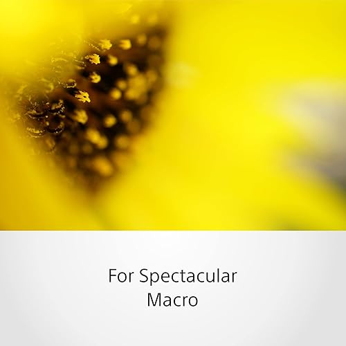 Miniatura 4 de Sony sel50 m28 Fe 50 mm F2.8 Full Frame lente con montura tipo E (Negro)