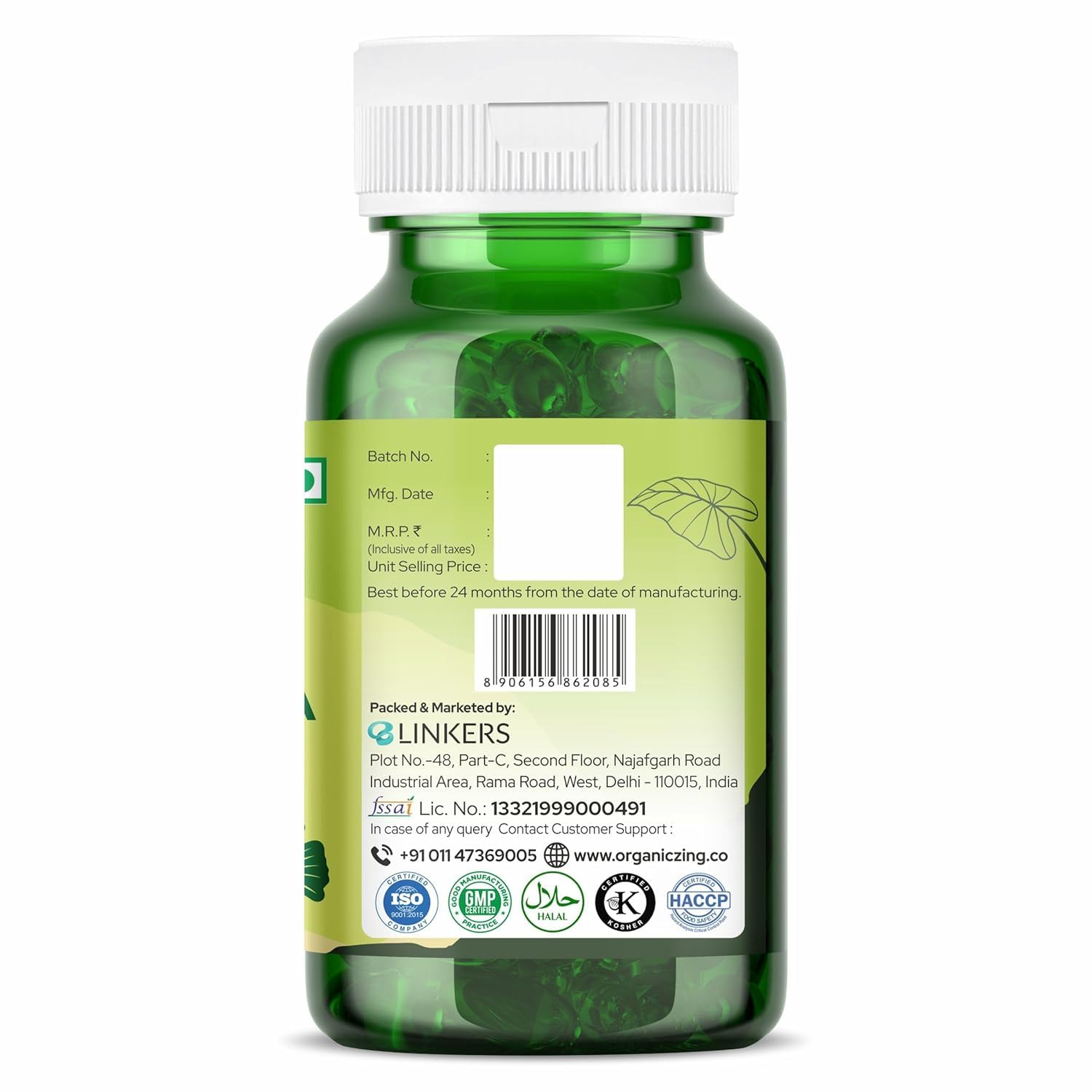 Amazon.com: ORGANIC ZING Ginkgo Biloba Extract – Food Grade – 120