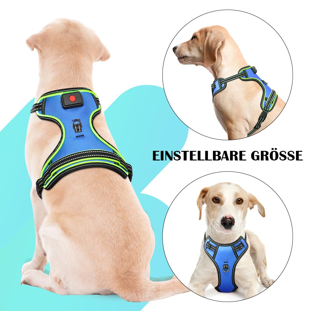Arnés luminoso para perros recargable LED chaleco reflectante para perros arnés antitracción para perros que caminan por la noche (luz azul + verde, XL)