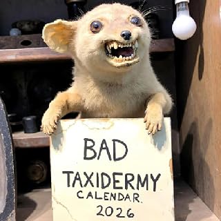 2026 Bad Taxidermy Wall Calendar – Weird, Gross & Hilariously Awful Taxidermy, Taxidermy Fails Wall Calendar with 12 Month Animals Fails Captured, Dark Humor Art Planner for Home Decor, Funny Gag Gift