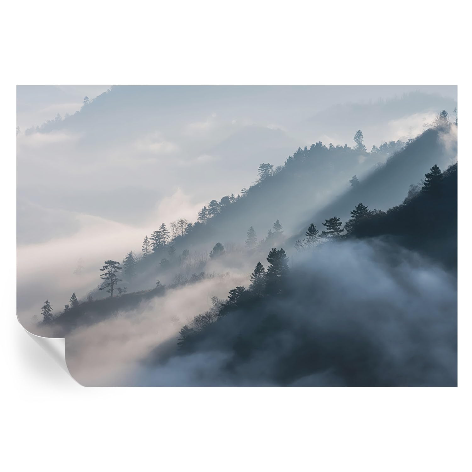 Cubiertas de vinilos de paisaje brumoso de 152x104 cm con estampados mate antirreflejos para pared