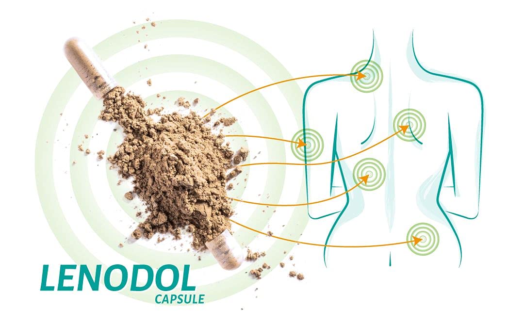 ALOEBETA Lenodol Artiglio del Diavolo Forte Capsule Vegetali - Allevia Dolori Muscolo Scheletrici di Ossa e Articolazioni - Integratore Alimentare BIO con Aloe Arborescens - Confezione da 60 Capsule