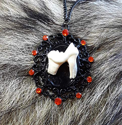 Raccoon Tooth Necklace with Red Gemstones Raccoon Teeth Tooth Necklace Real Tooth Raccoon Taxidermy Real Teeth Necklace Dental Large Tooth