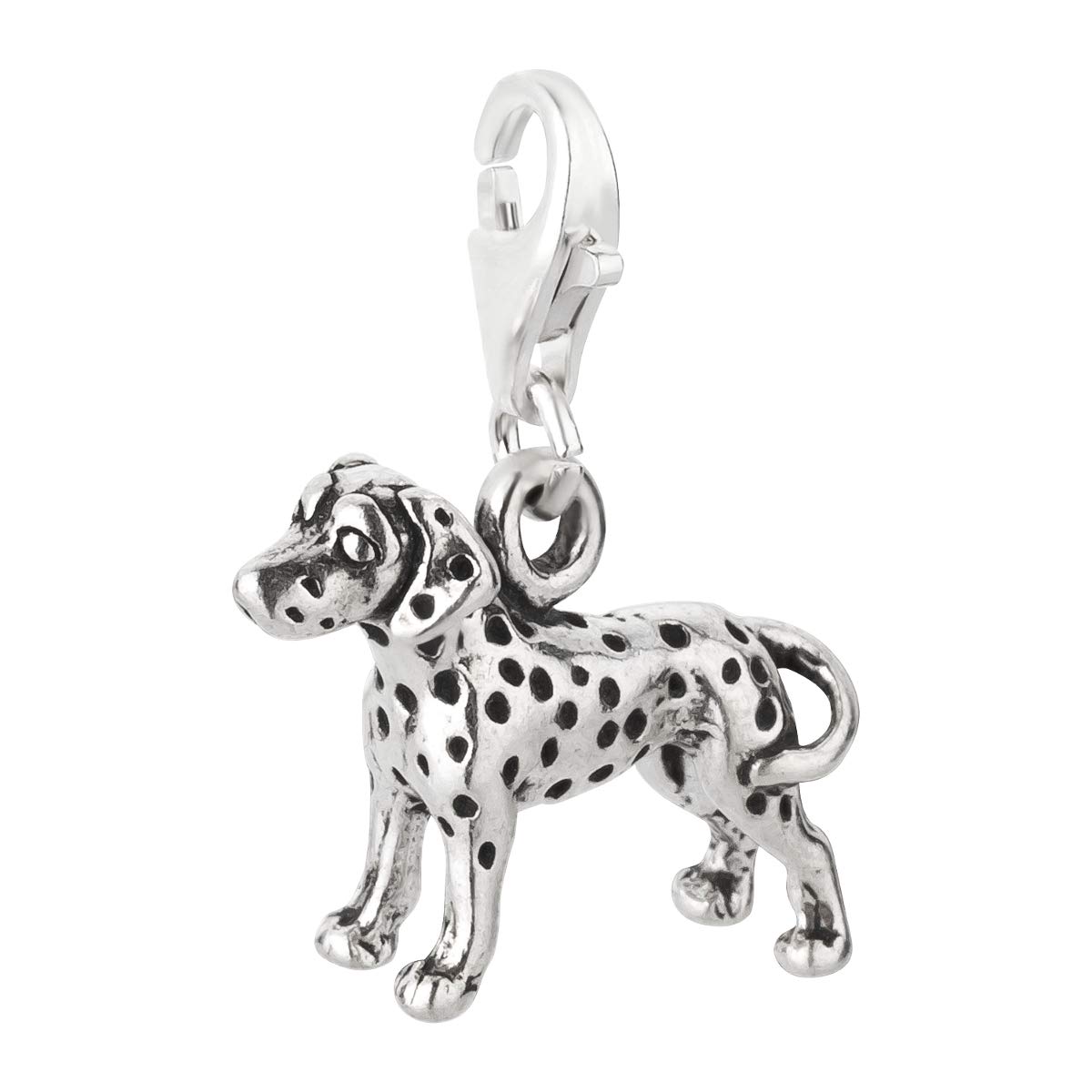 Ciondolo, Charm, Cane Bassotto, Argento Sterling 925, 10 x 10mm