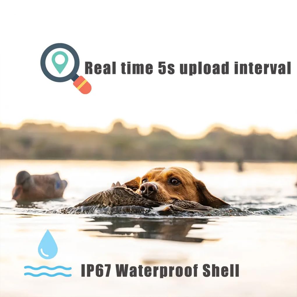 Collare GPS per cani con localizzazione in tempo reale 4G, collare di sicurezza per esterni, recinzione geografica, tecnologia rivoluzionaria per proprietari di cani,