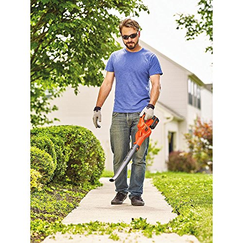 BLACK+DECKER 40V MAX Cordless Sweeper (LSW40C)