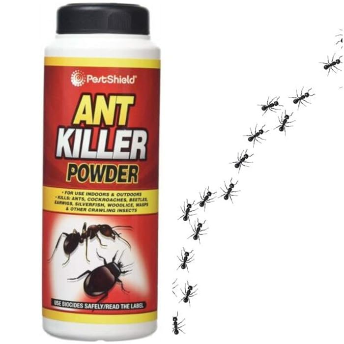 Buy citystores 200g Ant & Insect Killer Powder Indoor & Outdoor Use