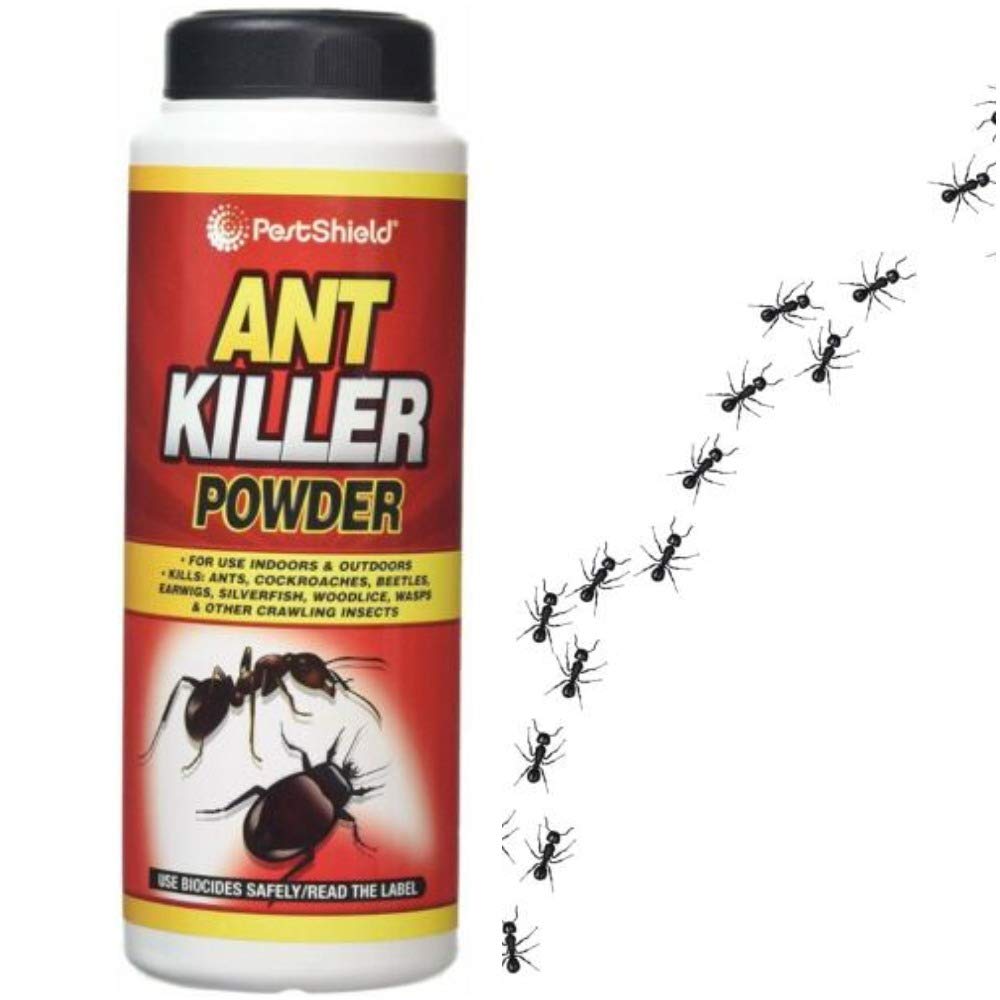 Buy citystores 200g Ant & Insect Killer Powder Indoor & Outdoor Use