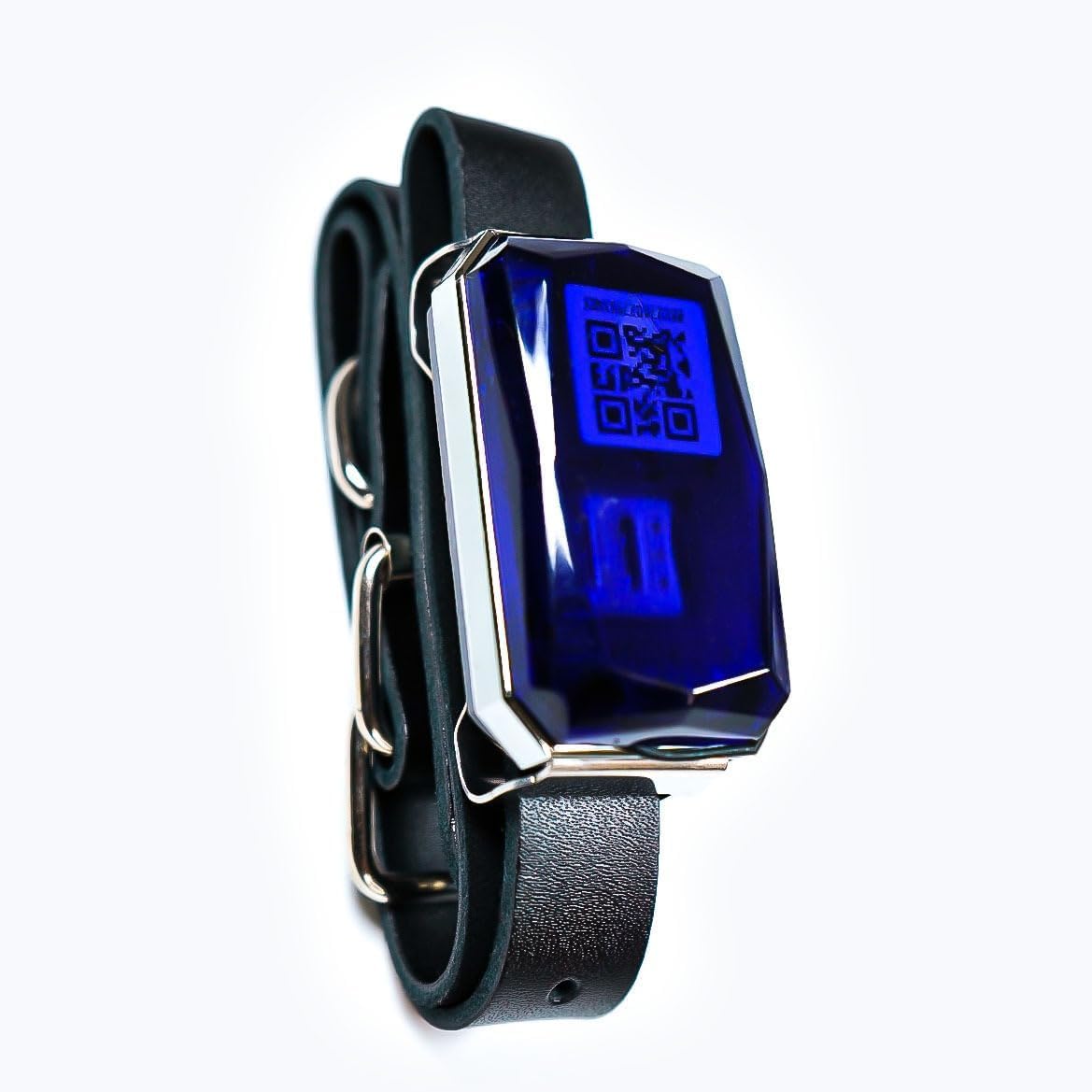Mini GPS Tracker para perros y gatos G12P – Impermeable para todos los animales domésticos – Sistema de localización con alarmas y micrófono para escuchar a distancia