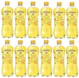 Gerolsteiner Schwarztee Zitrone