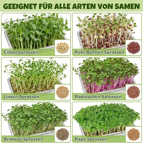 Magicbox 2er Set Edelstahl Sprossen Anzuchtset, 26 x 19 cm Keimschalen Set für Sprossen und Microgreens, 2-in-1 Anzuchtschale mit Doppelter Größe, Rostfreier Edelstahl, Spülmaschinenfest