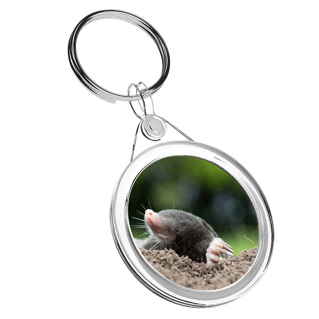 Destination Vinyl Keyrings Unisex Kids Multi 1 X Talpa Europaea Mole Mammal - Keyring Ir02 Mum Dad Kids Birthday #3478