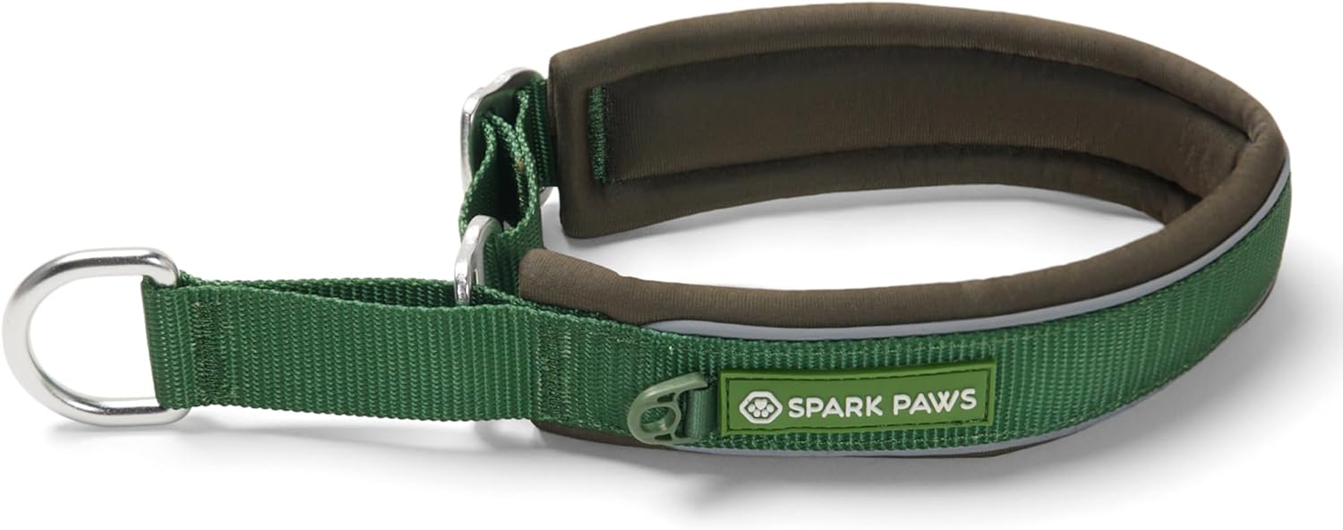Spark Paws Martingale Dog Collar – Cushioned Slip-On Training Collar, Heavy Duty, Safety-Tested No-Buckle Collar for Medium & Large Dogs - Army Green - E