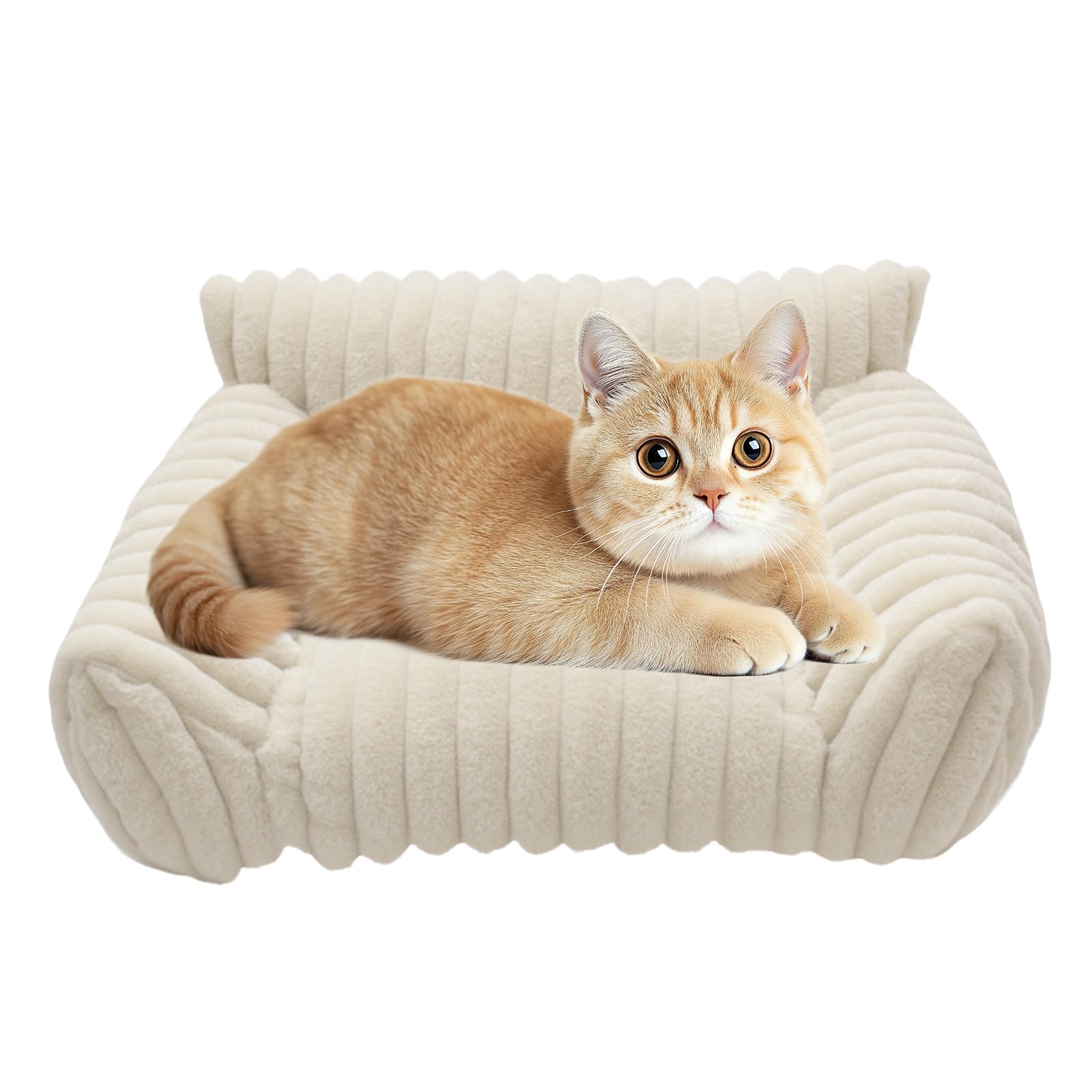 Siège moelleux confortable pour chat et chien avec revêtement haute densité résistant aux griffes