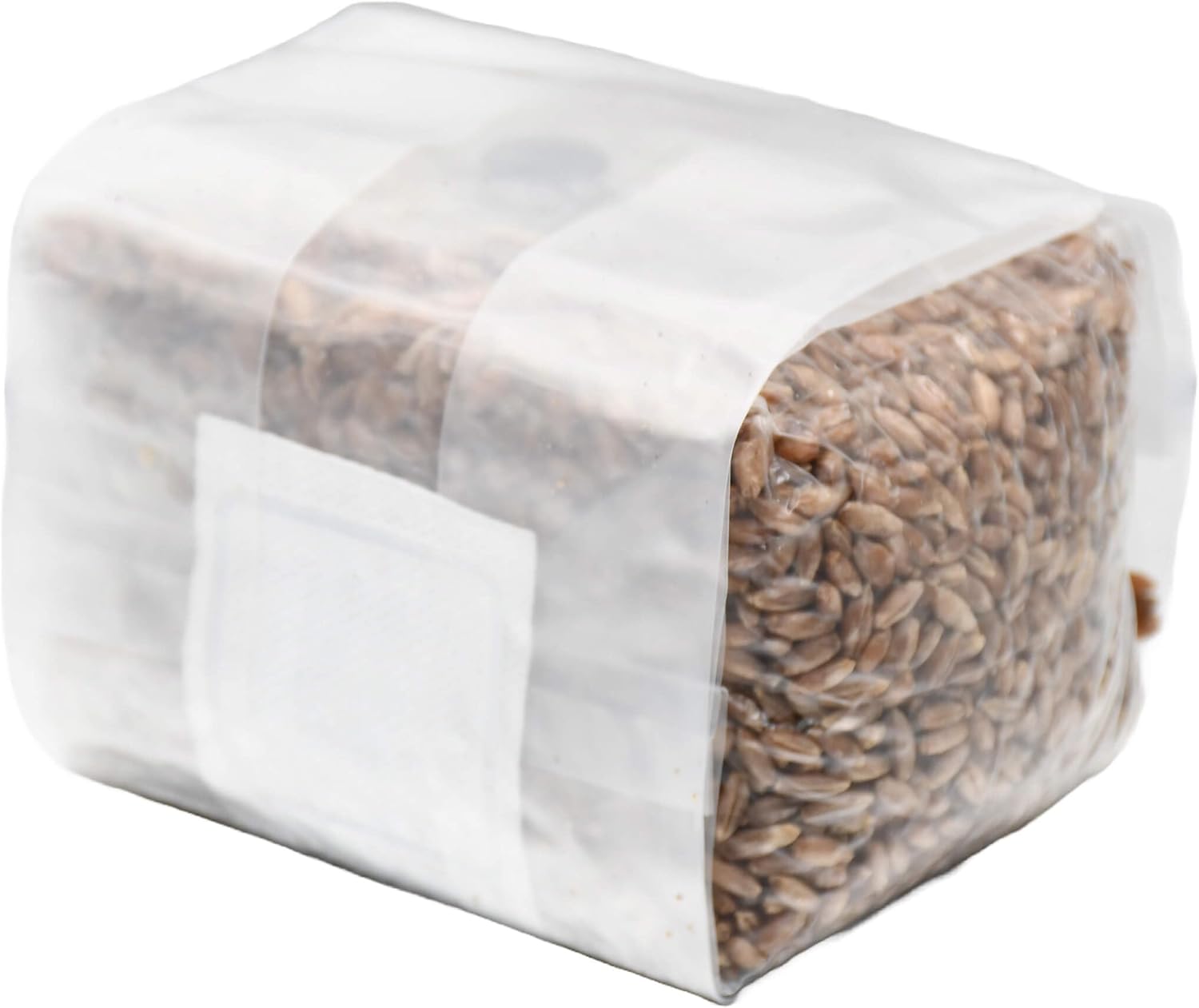 Out-Grow Sterilized Rye Berry Mushroom Substrate with Self Healing Injection Port (6)