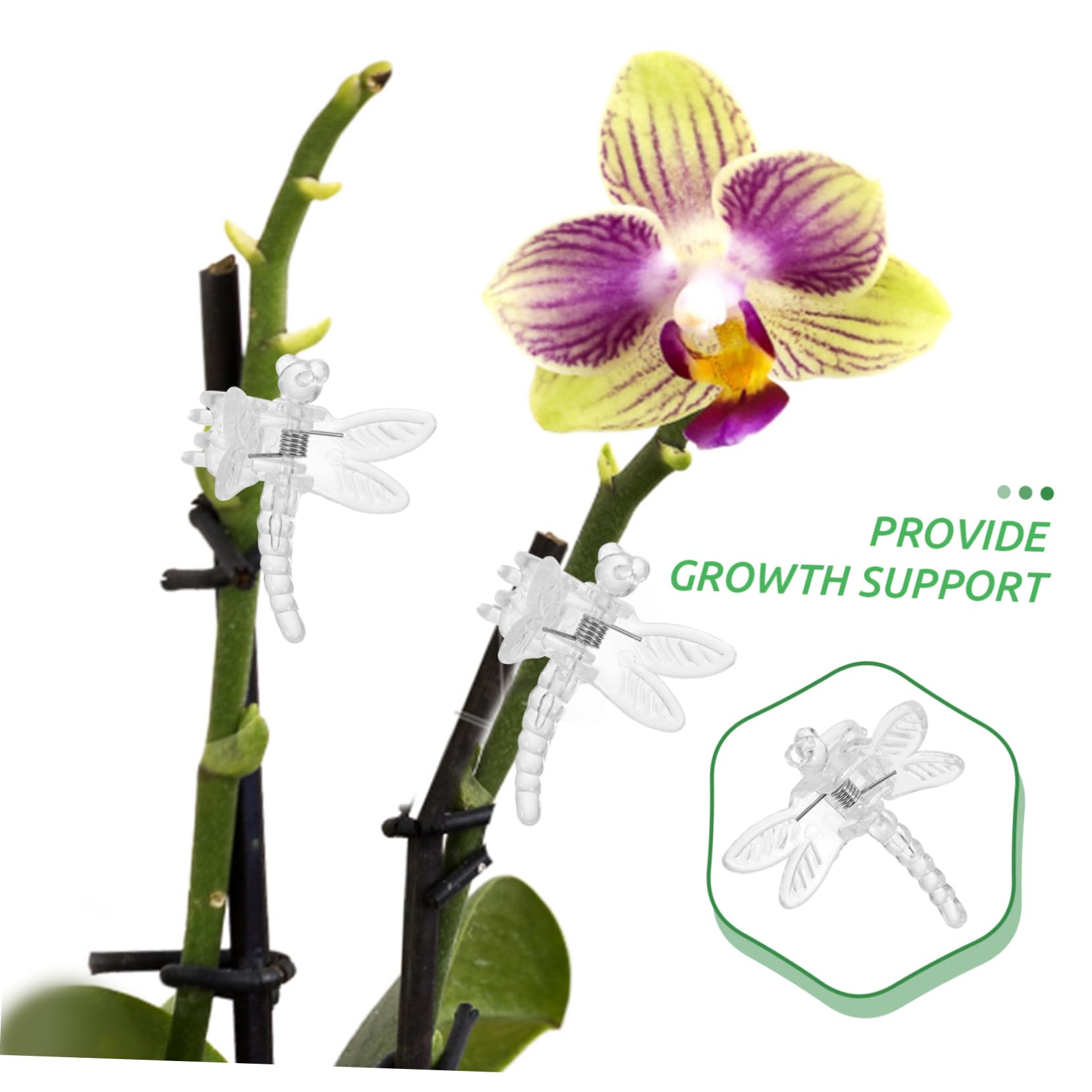 TOYANDONA 5 Sätze Transparente Pflanzenclips Multifunktionale Orchideen Clips Zur Unterstützung Von Pflanzenstängeln Für Weinreben Und Gemüse Gartenwerkzeug Für Sicheres 10 Stück * 5
