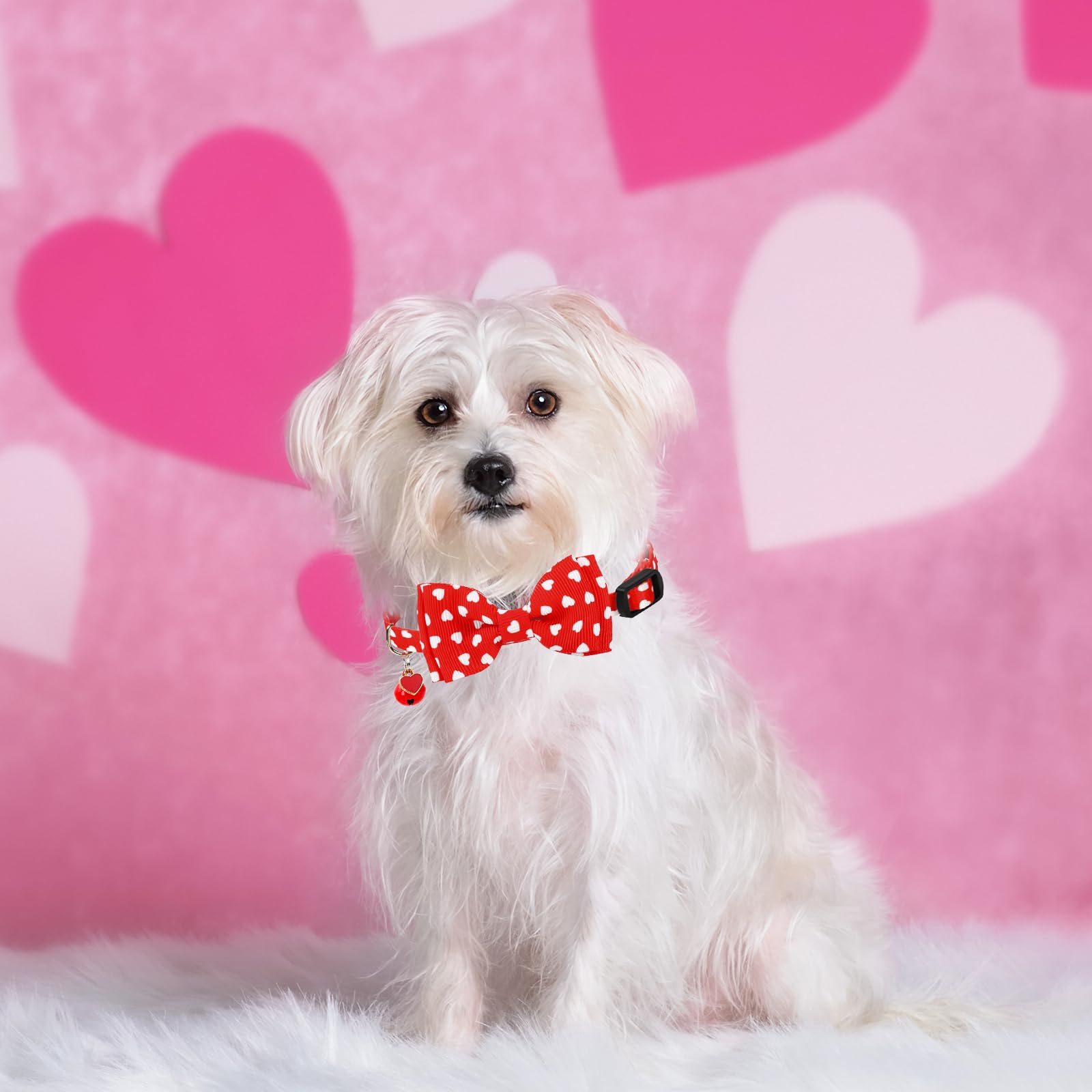 JarThenaAMCS 3 collares de gato para el día de San Valentín, collar de corazón con pajarita con campana separable, collar ajustable para gatito para niña, niño, gato, mascota pequeña
