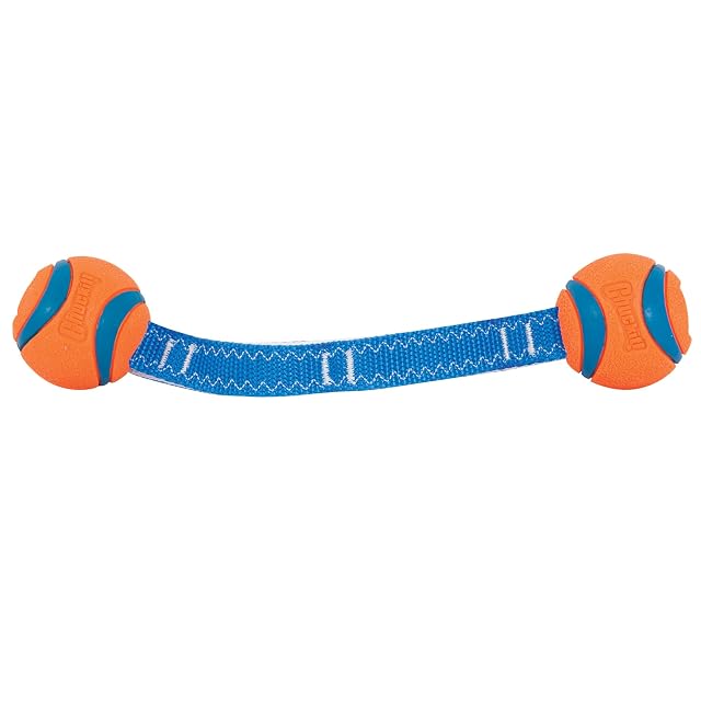 Foto 3 de 8 de Chuckit Juguetes De Peluche Para Perros Ultra Duo Tug S 5 cm