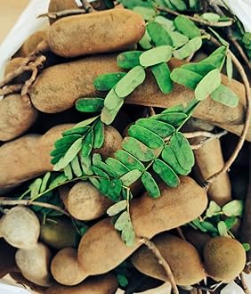 NFW Granny's Pickles Chintakayi (Green Tamarind) Pickle - Typical Andhra Taste 1 KG - Home made |Hand made | Organic Green Tamarind(Chintakayi) & ingredients |Additive Free |Quality Groundnut Oil |Tangy |Traditionally crushed & made