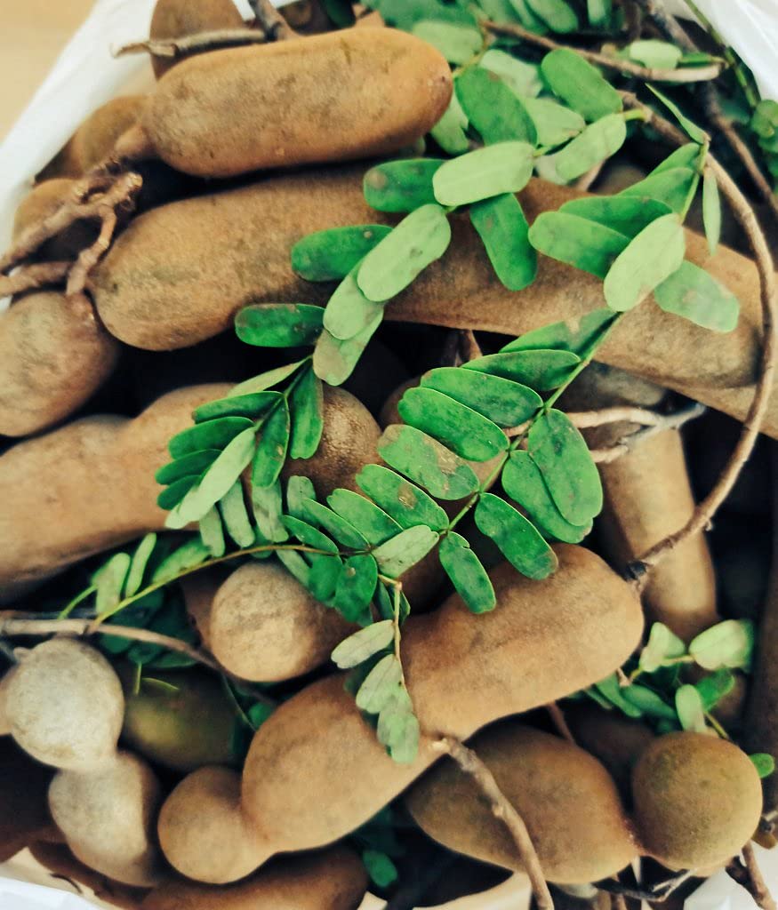 Chintakayi (Green Tamarind) Pickle - Typical Andhra Taste 1 KG - Home made |Hand made | Organic Green Tamarind(Chintakayi) & ingredients |Additive Free |Quality Groundnut Oil |Tangy |Traditionally crushed & made