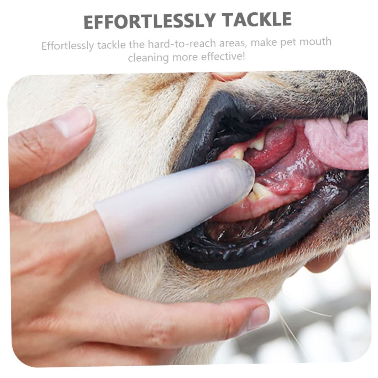 BESPORTBLE 3pezzi Spazzolino Per Denti Silicone Per Strumento Pulizia Sicuro Orale Domestici Per e Gattini