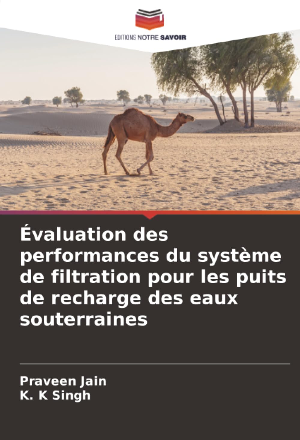 Évaluation des performances du système de filtration pour les puits de recharge des eaux souterraines