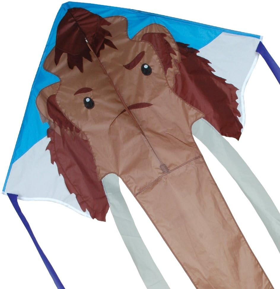 Large Wooly Easy Flyer Kite