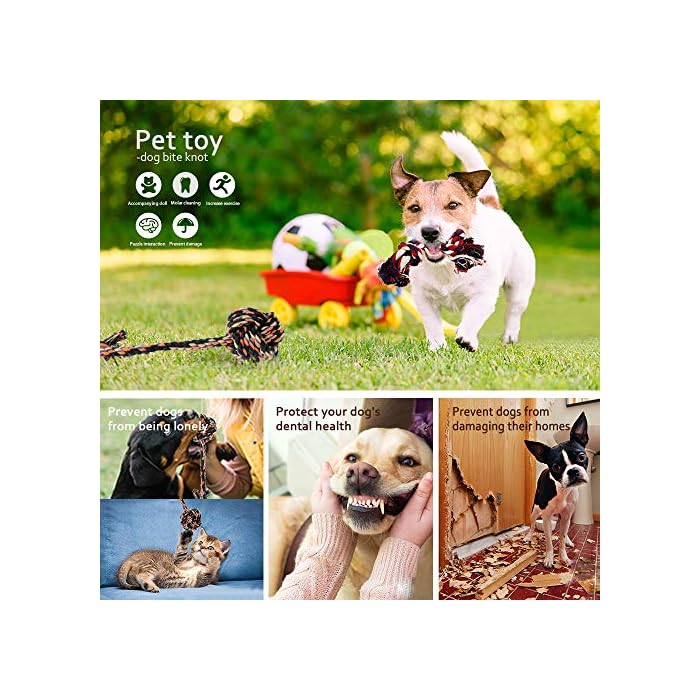 Pawchop Dog Steps for Bed, 3 Steps Pet Stairs with Non-Slip Washable Cover, 57x40x40cm High Density Foam Dog Ramp for Bed and Sofa, Stairs & Steps for Small Dogs and Cats - Brown - Image 8