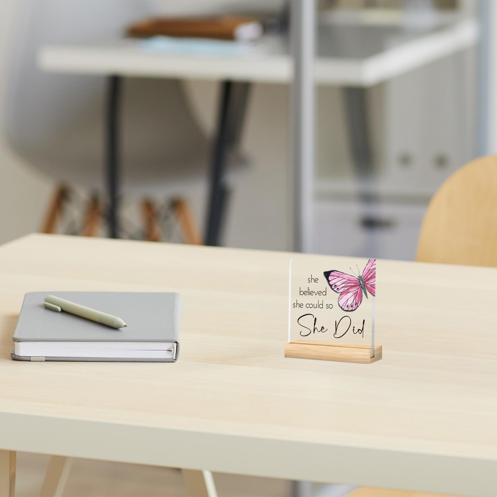She Believed She Could So She Did Acrylic Plaque Sign - Congratulations Gifts for Women - New Job Gifts - College Graduation Gifts for Her - Office Inspirational Promotion Gift for Coworker
