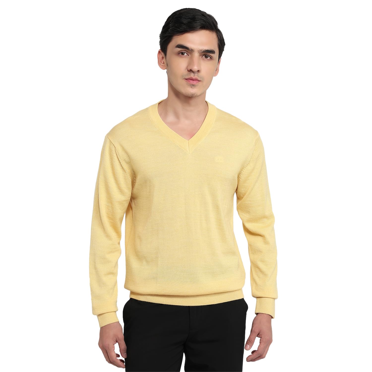 colorplus Men Regular Fit Plain Pattern Marino Wool Acryalic Blend Full Sleeve V Neck Casual Sweater-picture-15