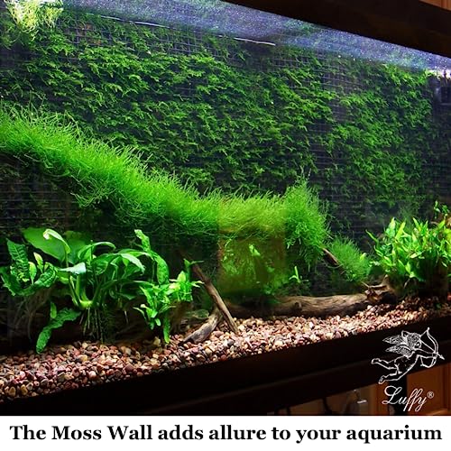 Luffy Decorative Aquatic Moss Wall Or Floor Mesh Kit, 2 Mesh Pieces, 10 Cable Ties & 5 Suction Cups Included, Ideal For Medium To Big Fish Tanks #TOP2
