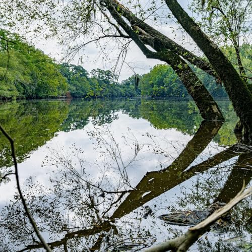 A Creative Date Night + A Worth-the-Drive Family Day 🌿