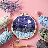 aguja pika pika peru Regalos perfectos: el kit es un regalo para familiares, amigos y parejas. Y el color del hilo de bordar es exquisito, y la imagen es rica en capas. Después de completar el tejido, el trabajo terminado se puede usar como pintura decorativa en la sala de estar, el dormitorio y el estudio.