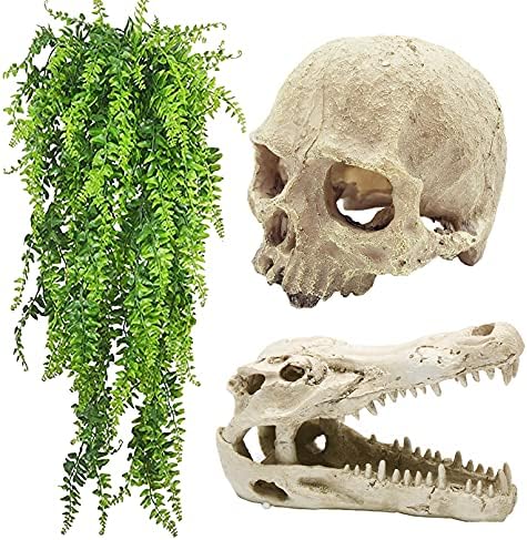 Tfwadmx 胡须龙坦克配件爬行动物鳄鱼骷髅装饰树脂人类骷髅藏身之处洞穴栖息地蜥蜴植物悬挂假藤装饰变色龙、蛇、蜘蛛、壁虎和鱼