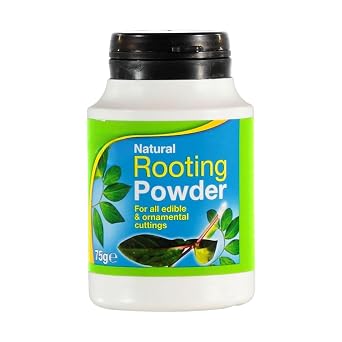 Concept4u Natural Rooting Powder 75g White Rooting Formula for Robust Root Growth Cuttings & Grafting Rooting Powder to Foster Healthy and Strong Roots Pack of 1.