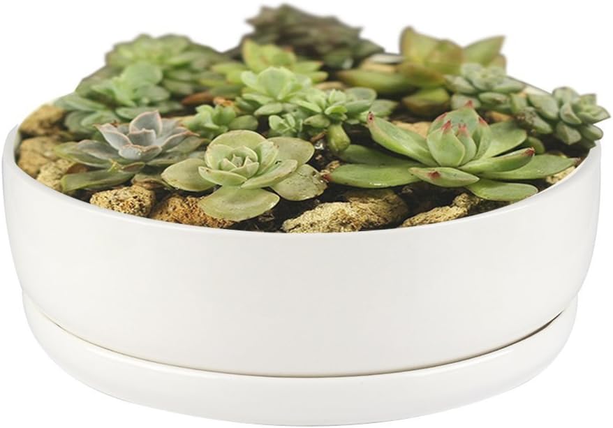 Flower Pot,Fristee Modern White Ceramic Round Designer Succulent Planter Decorative Flower Holder Bowl-6.18 inch