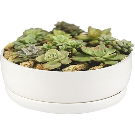 Amazon Com Yousun 白色陶瓷長方形花盆 現代簡約白色陶瓷多肉花盆盆 容器附陶瓷託盤 露臺 草皮與花園