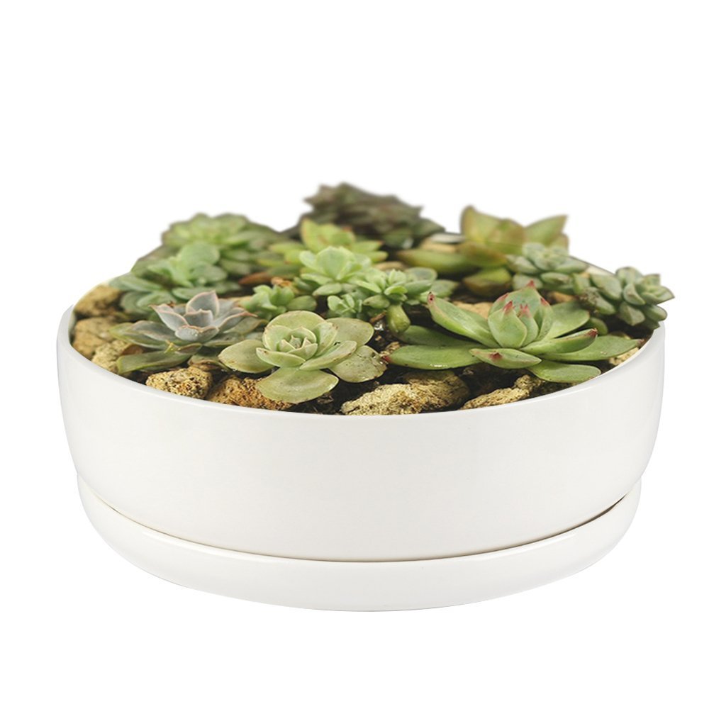 Flower Pot,Fristee Modern White Ceramic Round Designer Succulent Planter Decorative Flower Holder Bowl-6.18 inch