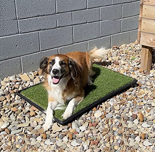 PICK FOR LIFE Dog Grass Toilet, Large size 51 x 63.5 cm, Indoor Outdoor Dog Potty Systems, Portable Toilet with Fake Grass and Tray, Reusable Trainer Tray for Puppy Training - Image 8